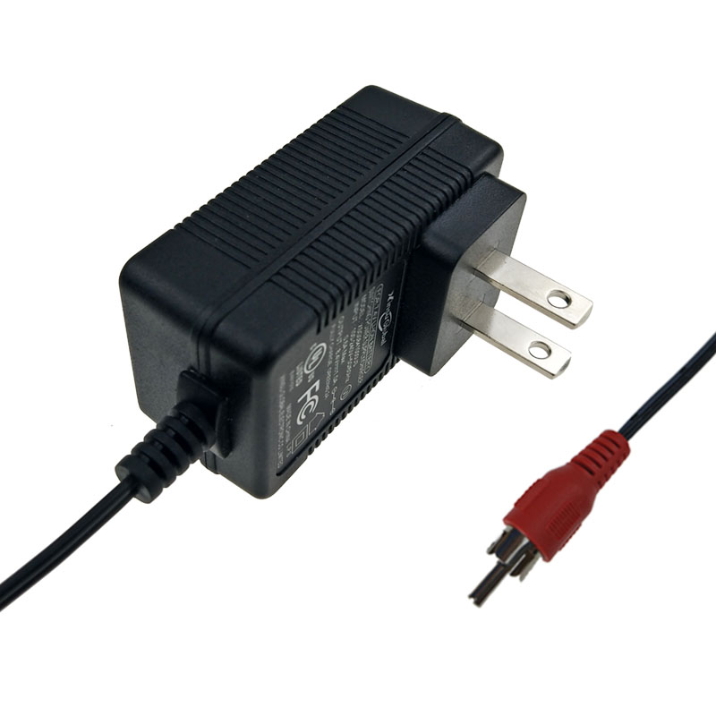 SAA 6V 300mA交流適配器